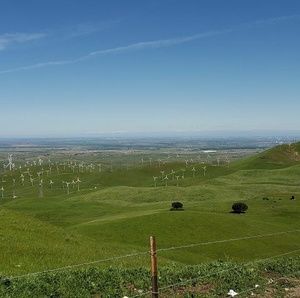 Meet your Posher, Efren